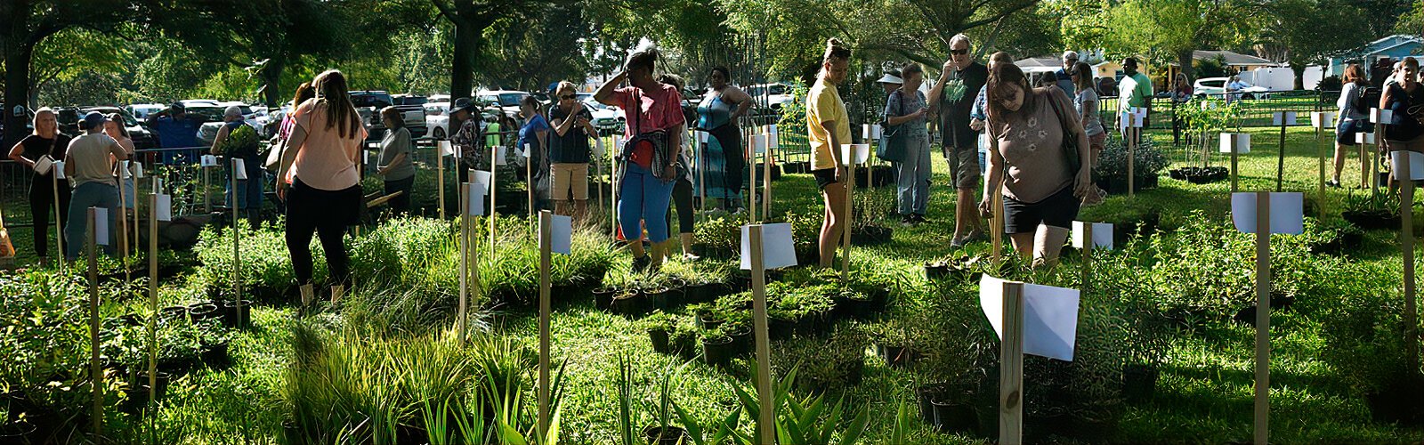 Shoppers arrive early morning for the best choice of plants at the 38th annual Green Thumb Festival in St. Pete.