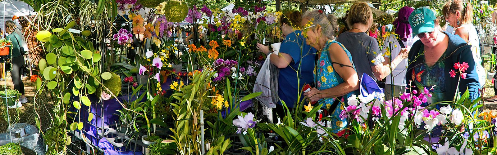 The Green Thumb Festival offers a great diversity of local plants and flowers to beautify the home.
