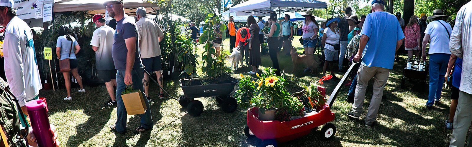 St. Pete's annual Green Thumb Festival has estimated attendance of 30,000 to 35,000 over the two-day event.