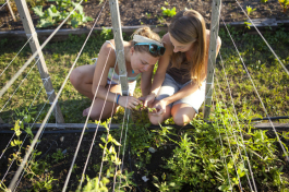 Deborah Hilbert and Abby Sucsy identify a plant in the Eckerd College garden. - Julie Branaman