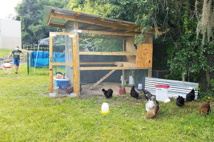 Walker Middle School Ag Club maintains a chicken coop.