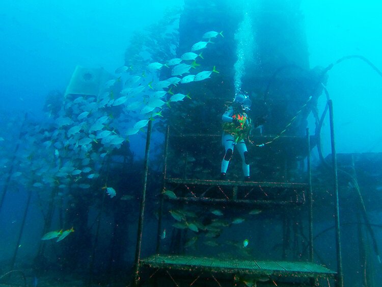 Dr. Csilla Ari D’Agostino at the front of the Aquarius undersea habitat.
