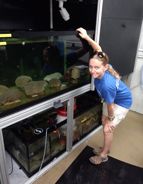 Keri O’Neil looks into a tank where artificial lights used to induce coral to spawn.