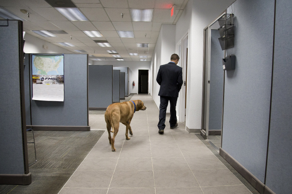 Jay and his dog Tegene walk through the Hydro-Dyne office.