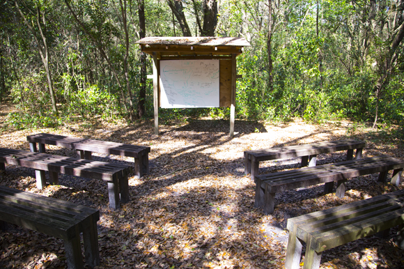 The school's outdoor classroom. 