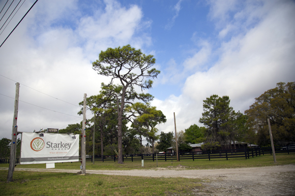 Starkey Ranch will be transformed into a master-planned community. 