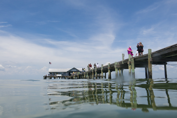 City Pier at Anna Maria Island is a potential ferry stop.  