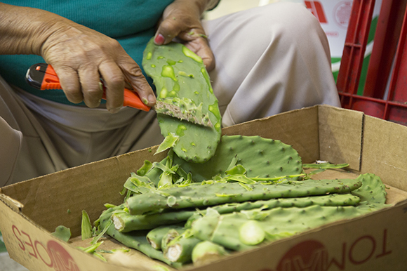 Reyna Rocha prepares cactus leaves for cooking. 