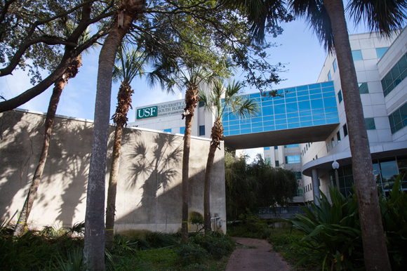 USF College of Marine Science in St. Pete.