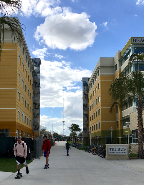 Skateboarding, bicycling and walking are primary modes of transportation on the USF Tampa campus.