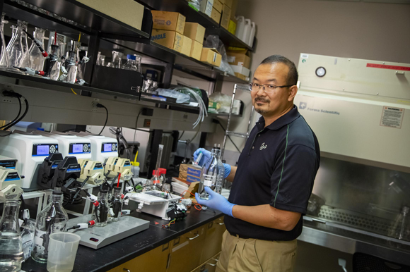 Dr. Daniel Yeh working in his lab at USF.