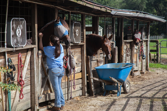 Bridget Bosch, VP at Grune Heidi, tends to the rescued horses.