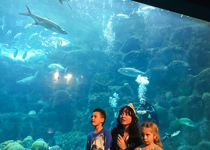 Adrienne Hardy hosts Secret Sealife Superhero at The Florida Aquarium.