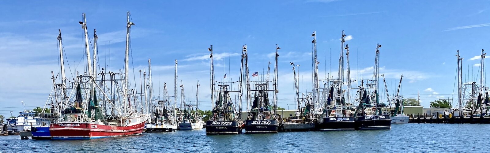 Smaller shrimp and fishing boats along with larger vessels call Port Tampa Bay home.