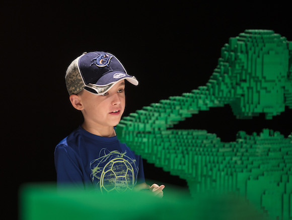A young fan takes in The Art of the Brick