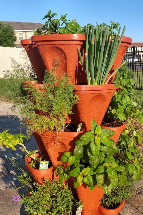 A self-watering stacked planter in Amber Garcia Hand's yard.