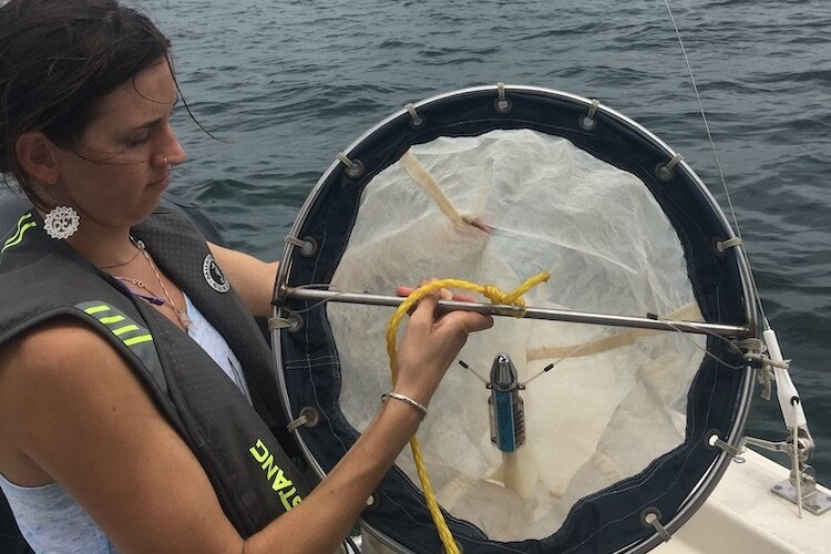 USF St. Pete researcher Kinsley McEachern checks the netting capturing plankton and plastics in the waters of Tampa Bay. 