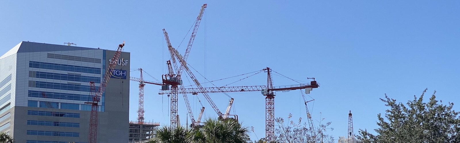 Construction cranes surrounding the new USF Health College of Medicine in downtown Tampa.