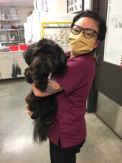 One of HSTB’s wellness veterinary technicians brings a dog to an exam for a check up.