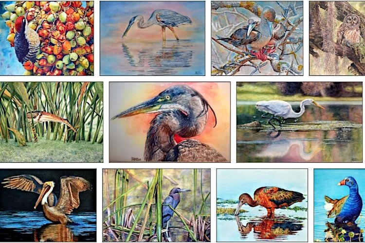 Watercolor painter Donna Morrison of Tampa promotes the conservation of natural lands and creatures throughout Florida and world.
