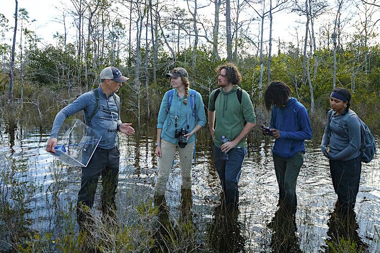 Three teens -- Noah, Kiana, and Kourtez -- learn about native plants and animals in the swamp.
