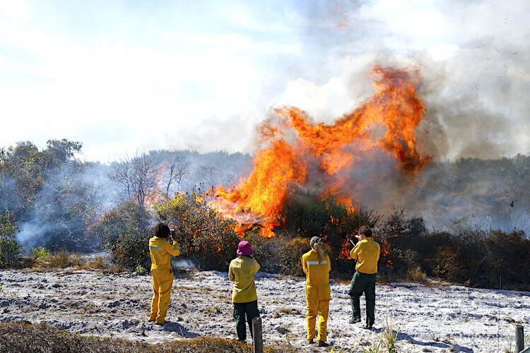 The teens learn about the value of controlled burns to create new growth.