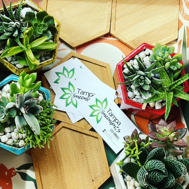 The Wine & Design: Succulent Planters workshop with Tampa Succulents at The James Museum will teach attendees about arrangement techniques and how to care for sustainable plants.