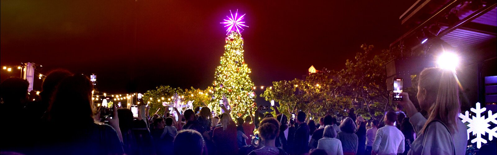 Visitors enjoy the lighting of the 35-foot Christmas tree on the Sparkman Wharf lawn to kick off the holiday season.