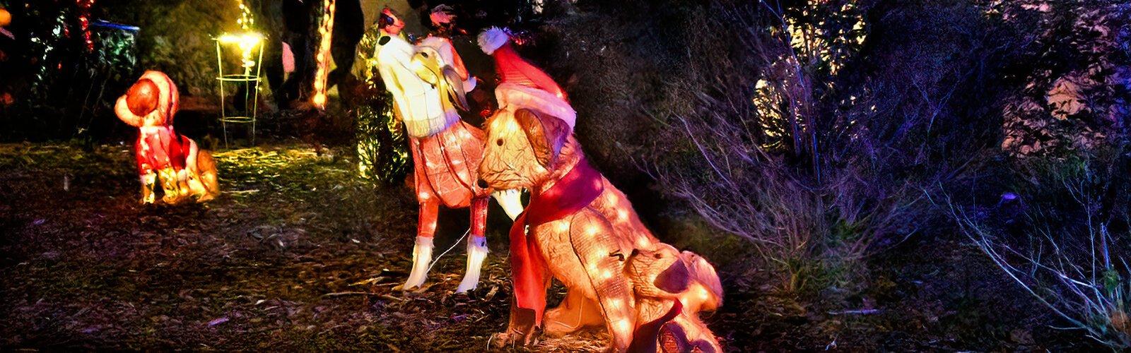Holiday Lights in the Gardens offers a wide display of lighted figures of canines donning holiday season colors and is very popular with visitors. 