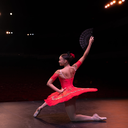 Dance Tampa Bay  wants to create more opportunities so Bay Area dance companies like the Straz Center's Next Generation Ballet do not develop talent only to see dancers leave to make a living in metropolitan areas like New York City or Los Angeles.