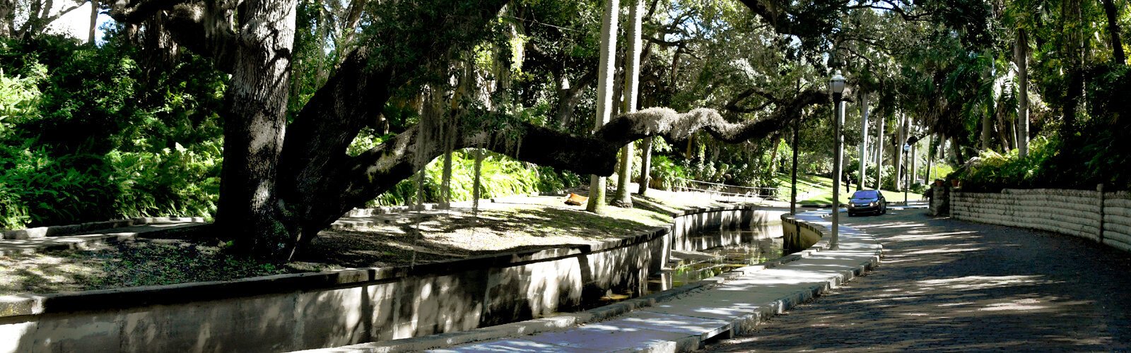 St. Petersburg's Historic Roser Park neighborhood is oriented around Booker Creek and lined with tall royal palm trees and majestic old oaks with low-hanging branches.