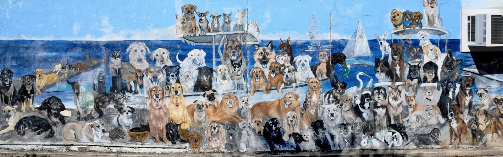 In 2010, Mural for Mutts artist Anna Hamilton started to paint hundreds of beloved pets, dogs and cats on Dunedin walls as a fundraiser for Dunedin Doggie Rescue, a local pet rescue. 