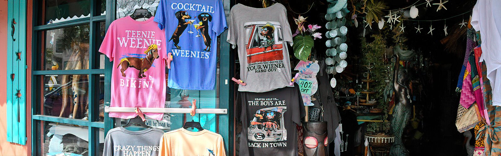 These fun T-shirts displayed outside of this Dunedin eclectic shop demonstrate that Weenies are stars not fading away.