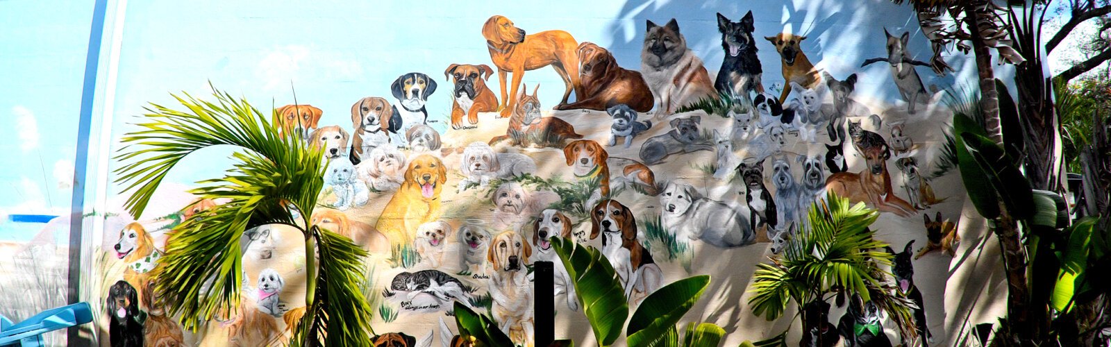 Another Anna Hamilton dog mural showcasing dozens of beloved pets graces the side of Christie’s Coastal Properties in Dunedin.
