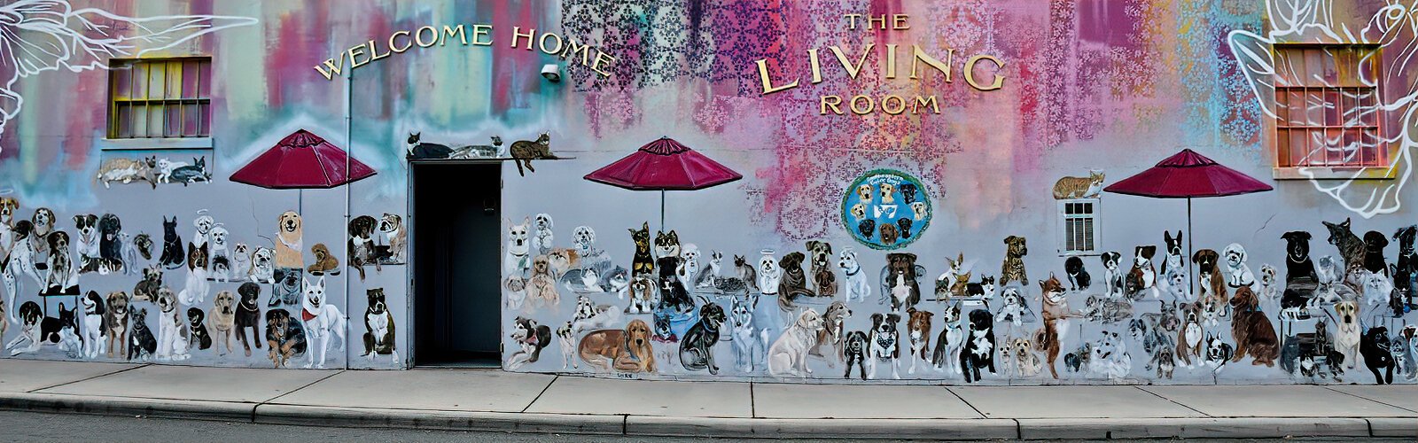 Hundreds of pets greet patrons on the exterior wall mural of The Living Room, a pet-friendly restaurant in Dunedin.