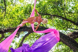 Massive oak trees provide shade for the Aerial Silk Fantasy performances during the 2024 Bay Area Renaissance Festival. 