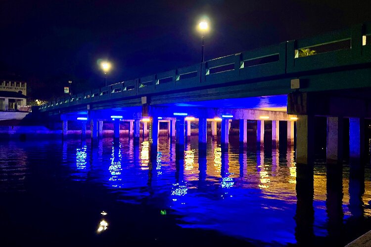  The historic Dr. Frederick A. Grassin Bridge in New Port Richey is lit up blue and yellow for Wotld Down Syndrome Day.