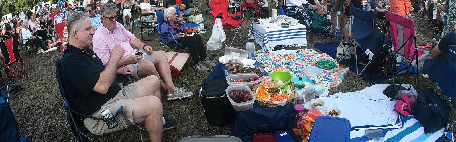 Pops in the Park is a great opportunity to relax with a blanket and an appetizing picnic spread while enjoying an outdoor celebration of music.
