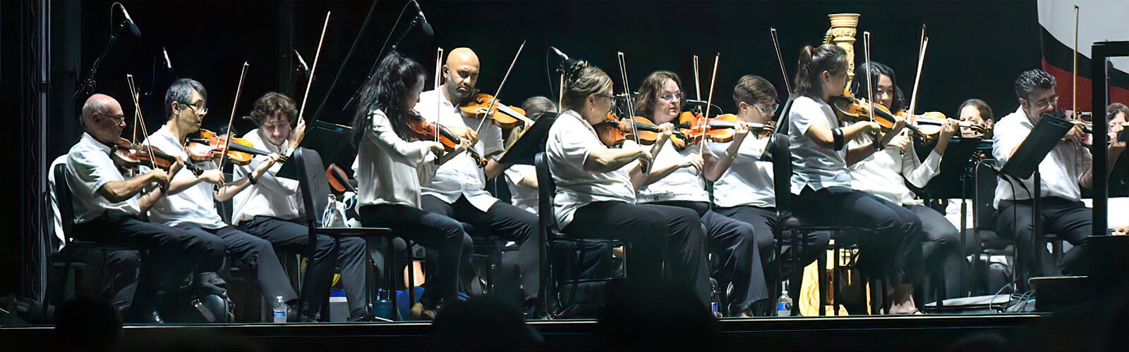 The Florida Orchestra makes music accessible to a broader audience through free concerts and community engagement 