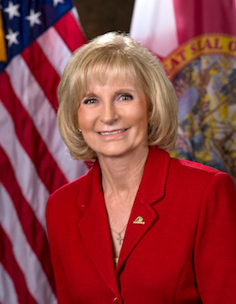 Sandy Murman, Chair, Hillsborough County Commission