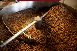 Beans are roasted at Buddy Brew.