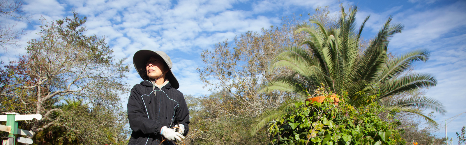 Kai Kai Chang, a caretaker at USF's butterfly garden, cares for the plants that butterflies thrive on.