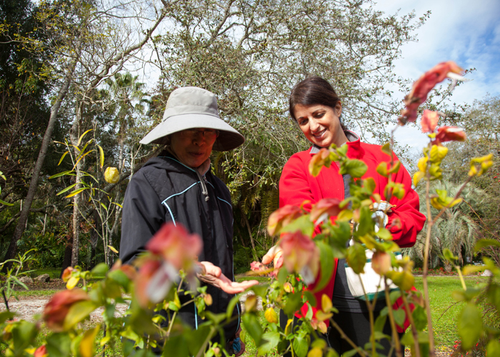 Kai Kai Chang and Joanne Meredith admire the shrimp plant in the butterfly garden where no pesticides are used because they kill butterfly larva.