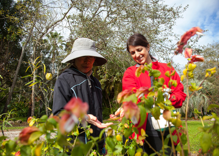 How Tampa Bay Area Gardeners Innovate To Save Butterflies Other