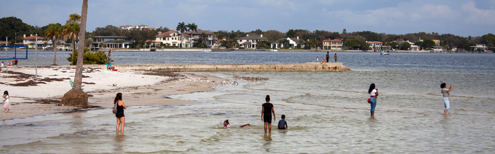 St. Pete's Vinoy Park beach.