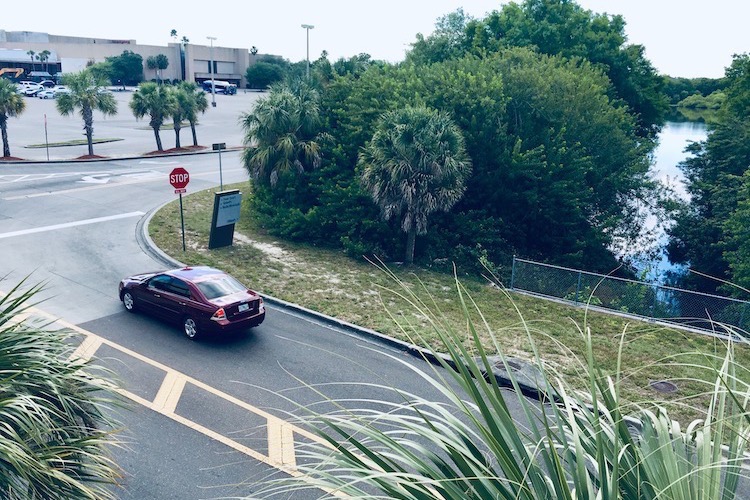 Trees hide lakes connecting University Mall and VA Hospital in Tampa.