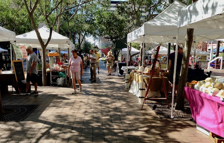 The scene at a local farmers market in downtown Tampa.