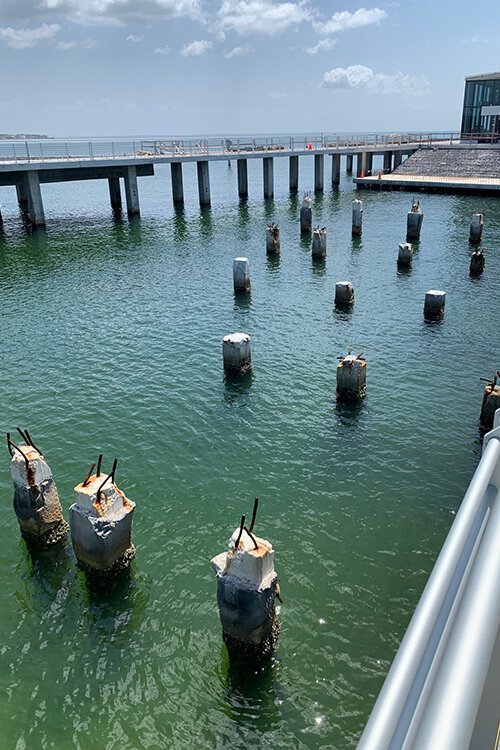 Old pilings at St. Pete Pier.