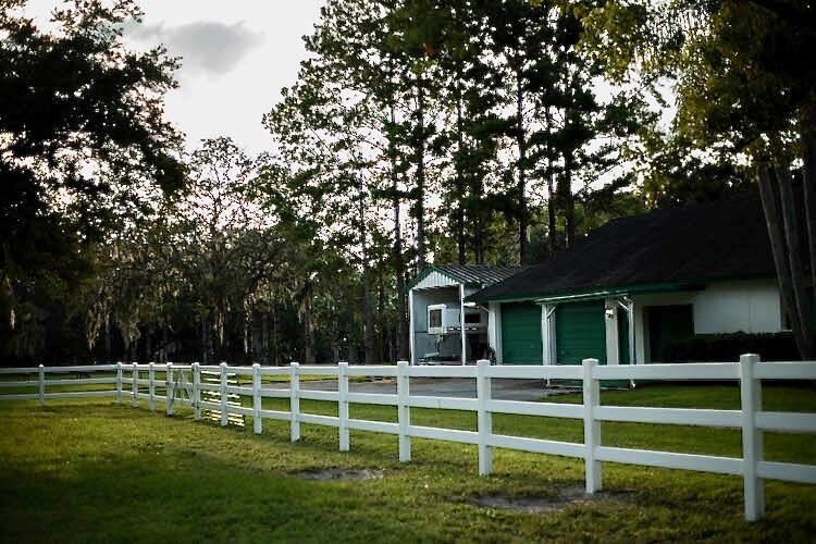 Florida greenery blends into this barn on the Northwest Hillsborough property.