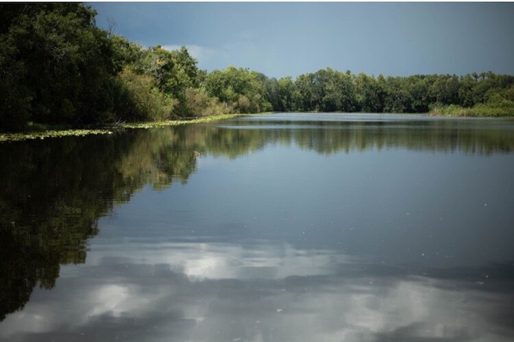 The freshwater pond at Al Lopez Park.